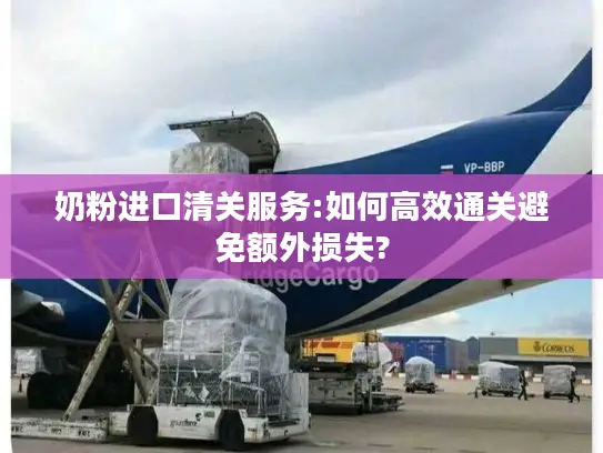奶粉进口清关服务:如何高效通关避免额外损失?