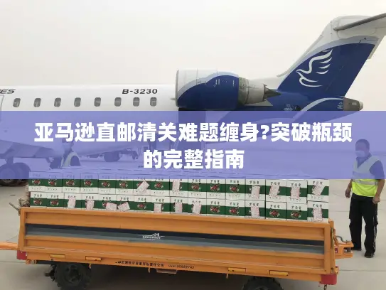 亚马逊直邮清关难题缠身?突破瓶颈的完整指南