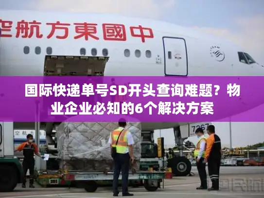 国际快递单号SD开头查询难题？物业企业必知的6个解决方案