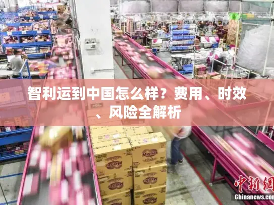 智利运到中国怎么样？费用、时效、风险全解析