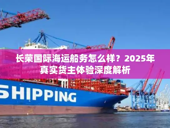 长荣国际海运船务怎么样？2025年真实货主体验深度解析
