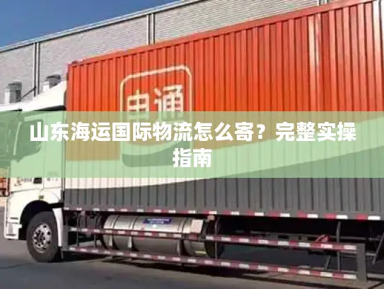 山东海运国际物流怎么寄？完整实操指南