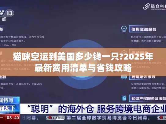 猫咪空运到美国多少钱一只?2025年最新费用清单与省钱攻略