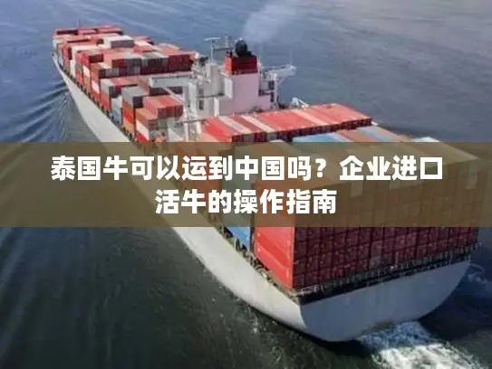 泰国牛可以运到中国吗？企业进口活牛的操作指南