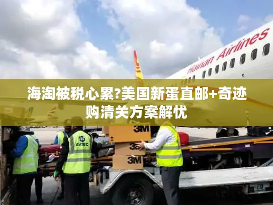 海淘被税心累?美国新蛋直邮+奇迹购清关方案解忧