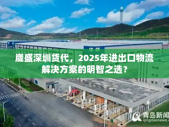 崴盛深圳货代，2025年进出口物流解决方案的明智之选？