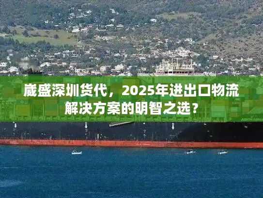 崴盛深圳货代，2025年进出口物流解决方案的明智之选？