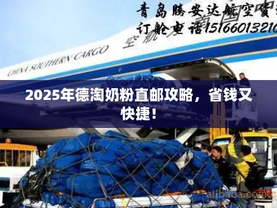 2025年德淘奶粉直邮攻略，省钱又快捷！