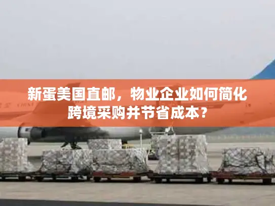 新蛋美国直邮，物业企业如何简化跨境采购并节省成本？