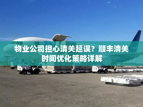 物业公司担心清关延误？顺丰清关时间优化策略详解