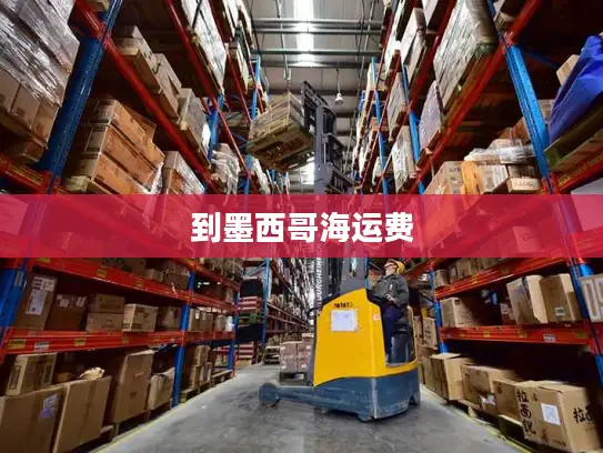 到墨西哥海运费