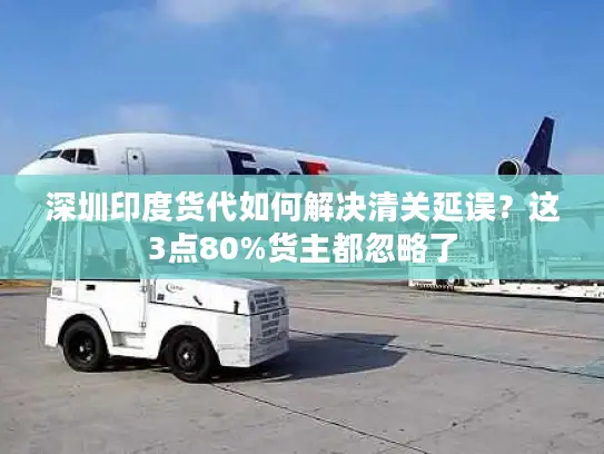 深圳印度货代如何解决清关延误？这3点80%货主都忽略了
