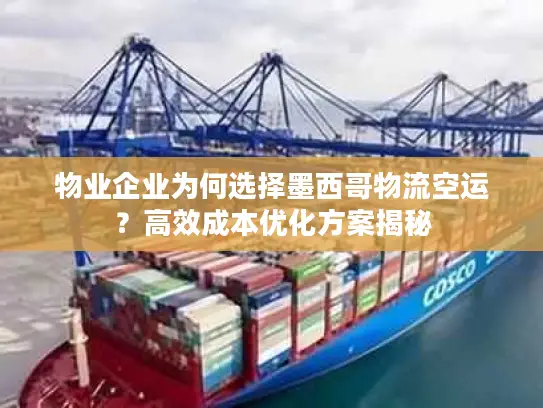 物业企业为何选择墨西哥物流空运？高效成本优化方案揭秘