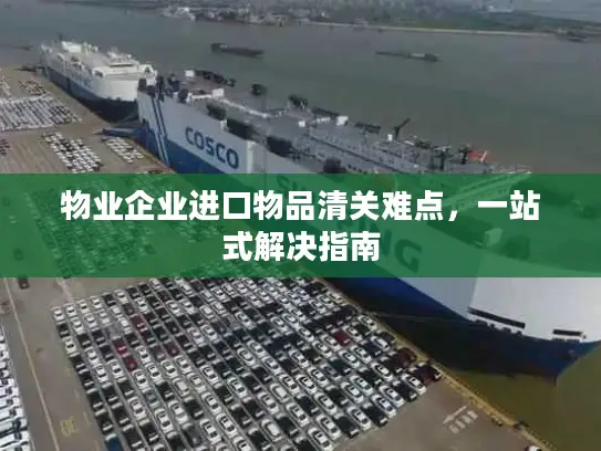物业企业进口物品清关难点，一站式解决指南
