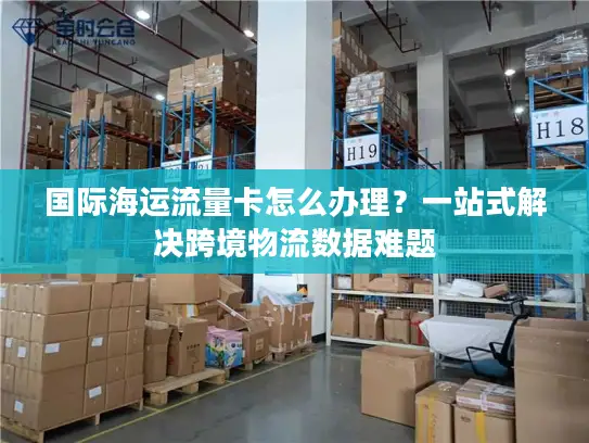 国际海运流量卡怎么办理？一站式解决跨境物流数据难题