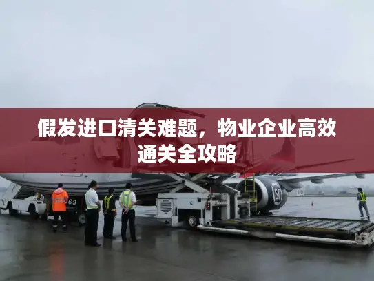 假发进口清关难题，物业企业高效通关全攻略