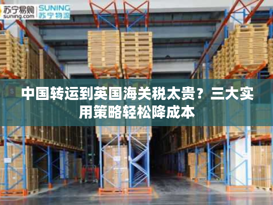 中国转运到英国海关税太贵？三大实用策略轻松降成本