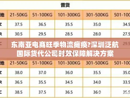 东南亚电商旺季物流瘫痪?深圳泛航国际货代公司时效保障解决方案