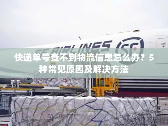快递单号查不到物流信息怎么办？5种常见原因及解决方法