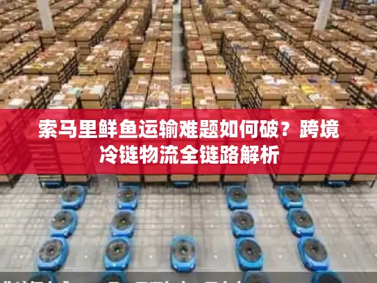 索马里鲜鱼运输难题如何破？跨境冷链物流全链路解析
