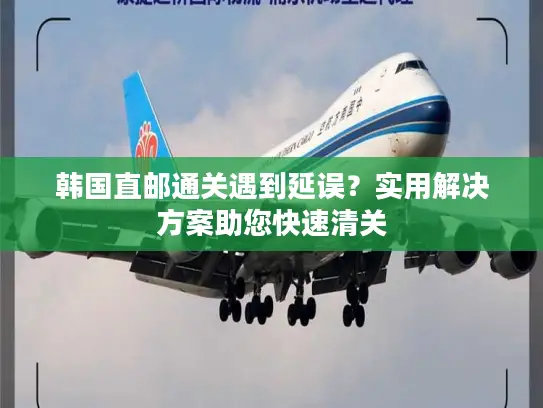韩国直邮通关遇到延误？实用解决方案助您快速清关