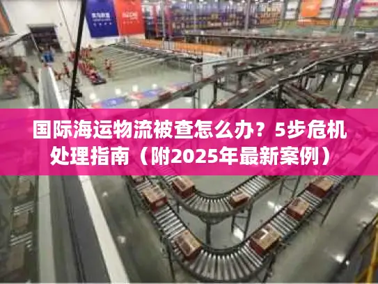 国际海运物流被查怎么办？5步危机处理指南（附2025年最新案例）