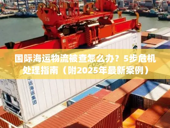 国际海运物流被查怎么办？5步危机处理指南（附2025年最新案例）