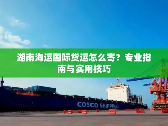 湖南海运国际货运怎么寄？专业指南与实用技巧