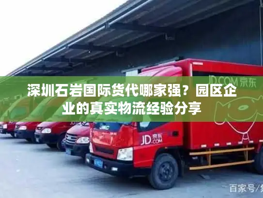 深圳石岩国际货代哪家强？园区企业的真实物流经验分享