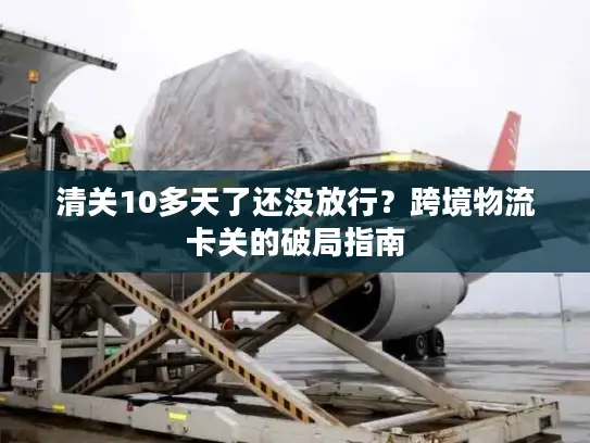 清关10多天了还没放行？跨境物流卡关的破局指南