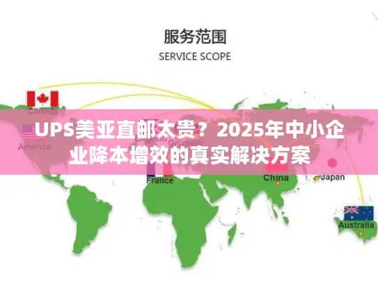 UPS美亚直邮太贵？2025年中小企业降本增效的真实解决方案