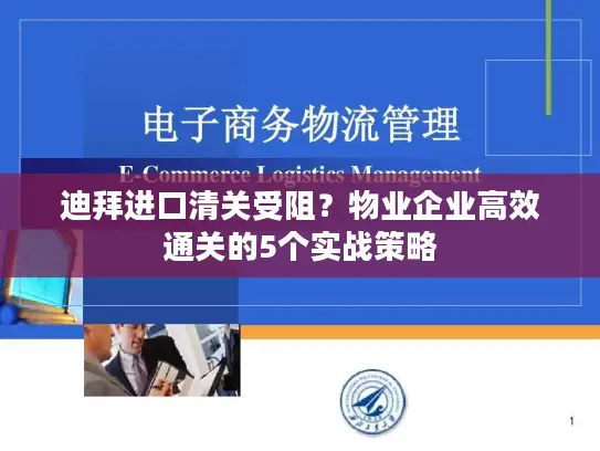 迪拜进口清关受阻？物业企业高效通关的5个实战策略