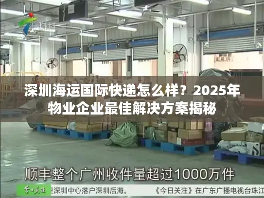 深圳海运国际快递怎么样？2025年物业企业最佳解决方案揭秘