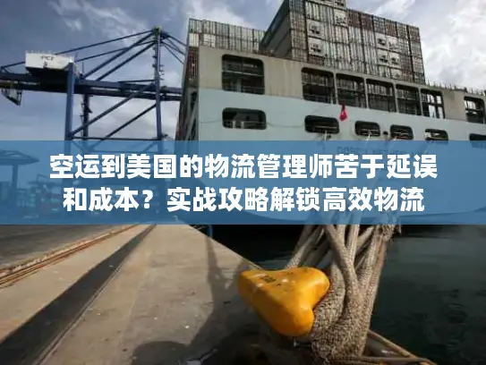 空运到美国的物流管理师苦于延误和成本？实战攻略解锁高效物流