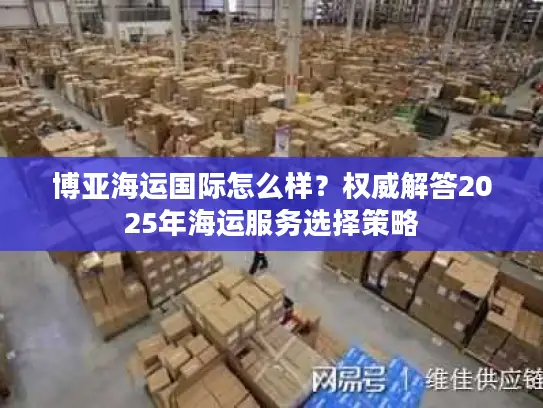 博亚海运国际怎么样？权威解答2025年海运服务选择策略