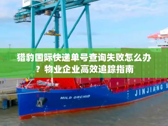 猎豹国际快递单号查询失败怎么办？物业企业高效追踪指南