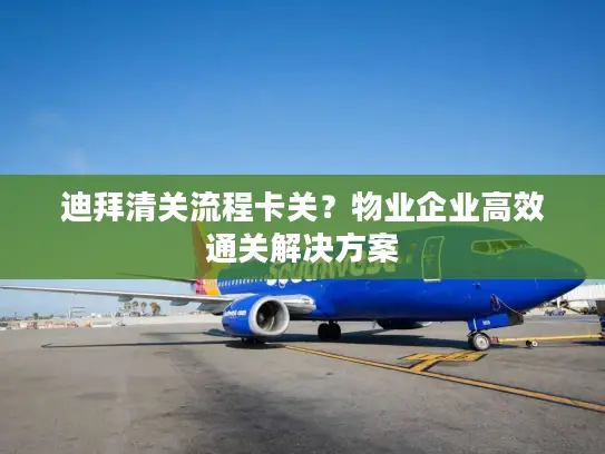 迪拜清关流程卡关？物业企业高效通关解决方案