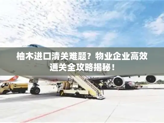 柚木进口清关难题？物业企业高效通关全攻略揭秘！