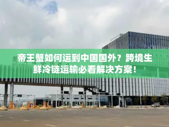 帝王蟹如何运到中国国外？跨境生鲜冷链运输必看解决方案！