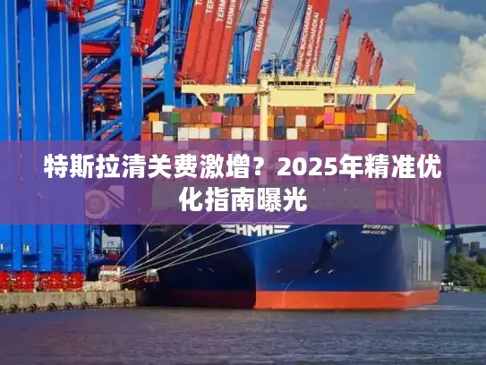 特斯拉清关费激增？2025年精准优化指南曝光