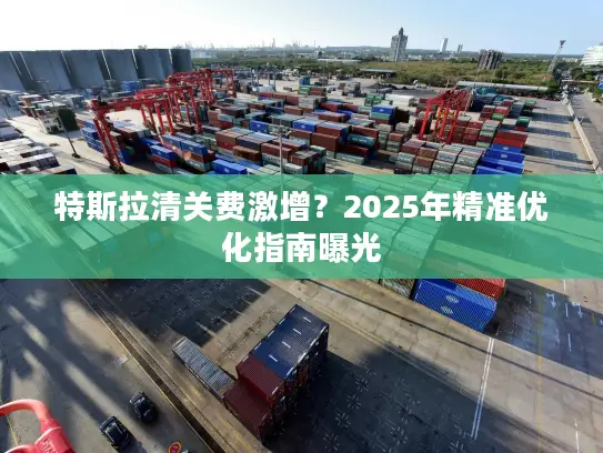 特斯拉清关费激增？2025年精准优化指南曝光