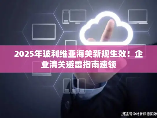 2025年玻利维亚海关新规生效！企业清关避雷指南速领
