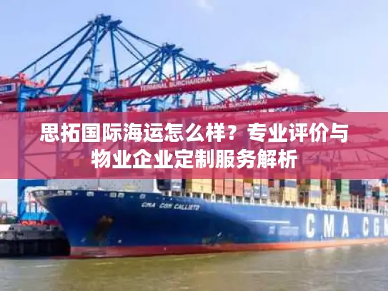 思拓国际海运怎么样？专业评价与物业企业定制服务解析