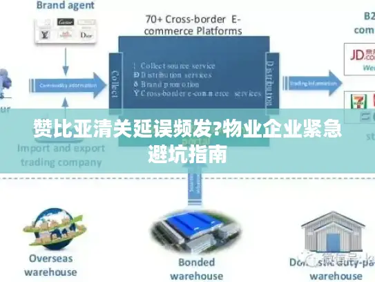 赞比亚清关延误频发?物业企业紧急避坑指南