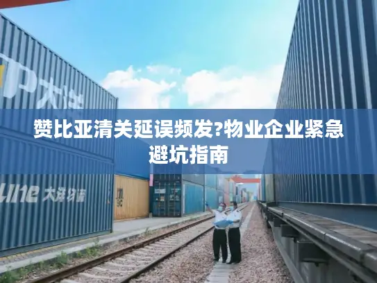 赞比亚清关延误频发?物业企业紧急避坑指南