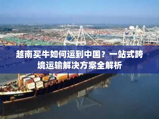 越南买牛如何运到中国？一站式跨境运输解决方案全解析