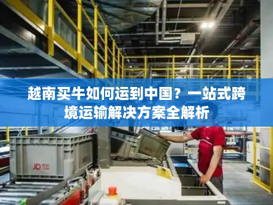 越南买牛如何运到中国？一站式跨境运输解决方案全解析