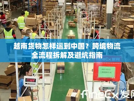 越南货物怎样运到中国？跨境物流全流程拆解及避坑指南