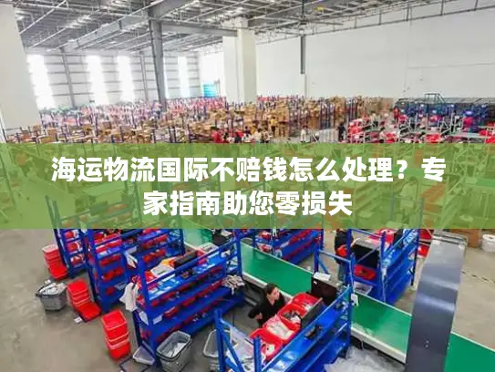 海运物流国际不赔钱怎么处理？专家指南助您零损失