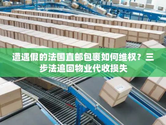 遭遇假的法国直邮包裹如何维权？三步法追回物业代收损失